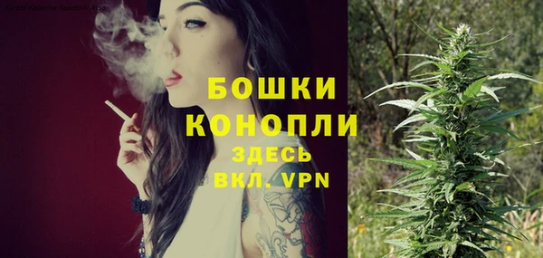 молекула духа Заводоуковск