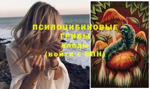 гидропоника Инта