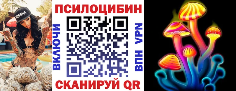 Галлюциногенные грибы прущие грибы  Великий Устюг 